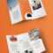 100 Best Indesign Brochure Templates With Tri Fold Brochure Template Indesign Free Download