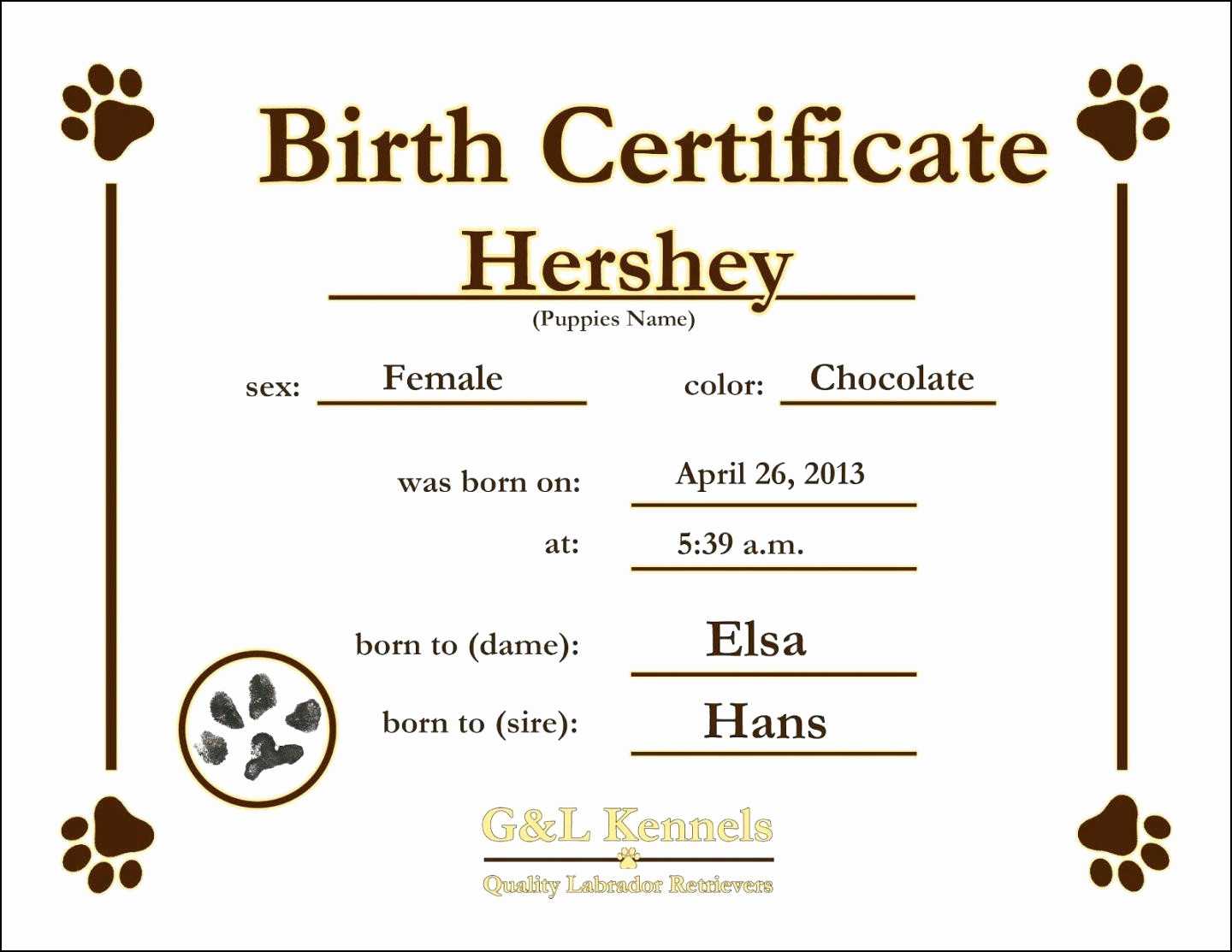 12 Birth Certificate Template | Radaircars For Baby Doll Birth Certificate Template