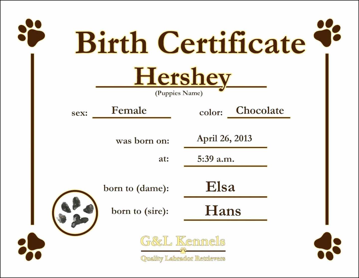 12 Birth Certificate Template | Radaircars With Regard To Birth Certificate Fake Template