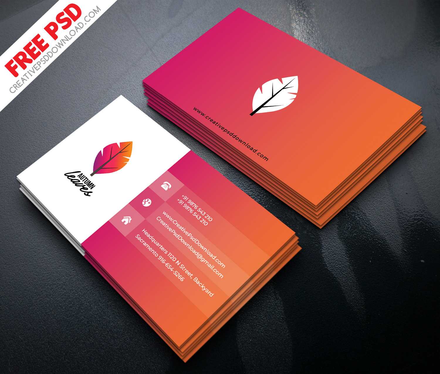 150+ Free Business Card Psd Templates Inside Name Card Template Psd Free Download