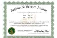 25 Images Of Official Service Dog Certification Template in Service Dog Certificate Template