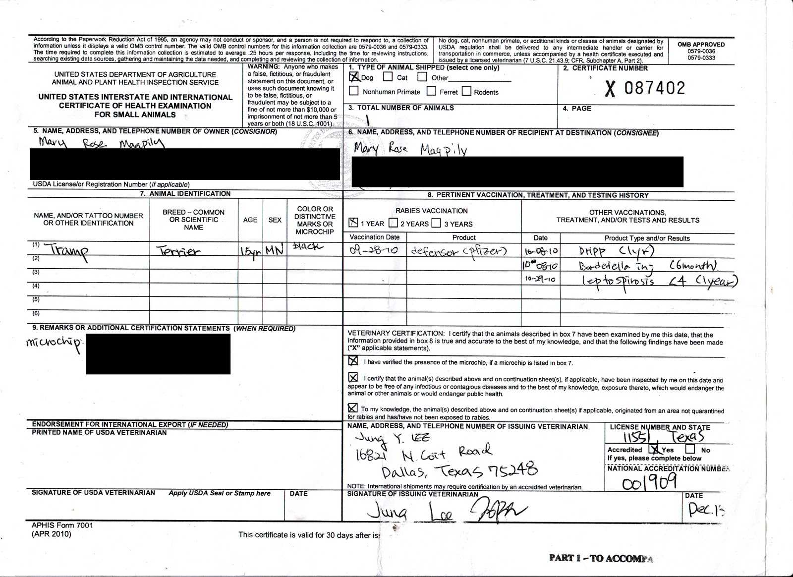 28+ Certificate Of Vaccination Template | The Rabies In Rabies Vaccine Certificate Template