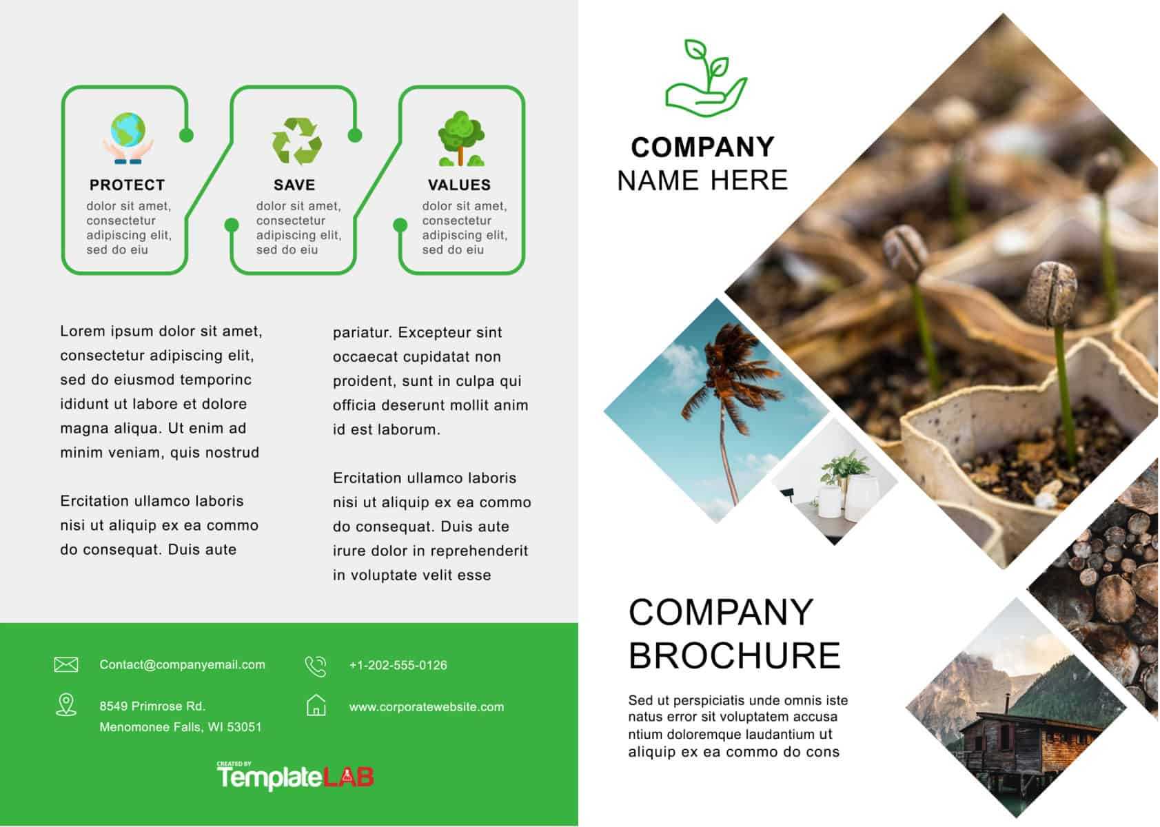 33 Free Brochure Templates (Word + Pdf) ᐅ Template Lab Intended For Microsoft Word Brochure Template Free