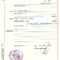 Birth Certificate Germany I Throughout Birth Certificate Translation Template Uscis