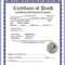 Blank Certificate Of Death – Beyti.refinedtraveler.co Pertaining To Baby Death Certificate Template