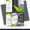 Brochure Design Template Creative Tri-Fold Green for E Brochure Design Templates