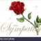Condolences Sympathy Card Floral Red Roses Bouquet And In Sympathy Card Template