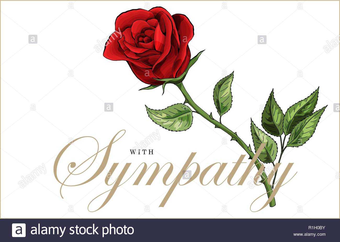 Condolences Sympathy Card Floral Red Roses Bouquet And In Sympathy Card Template