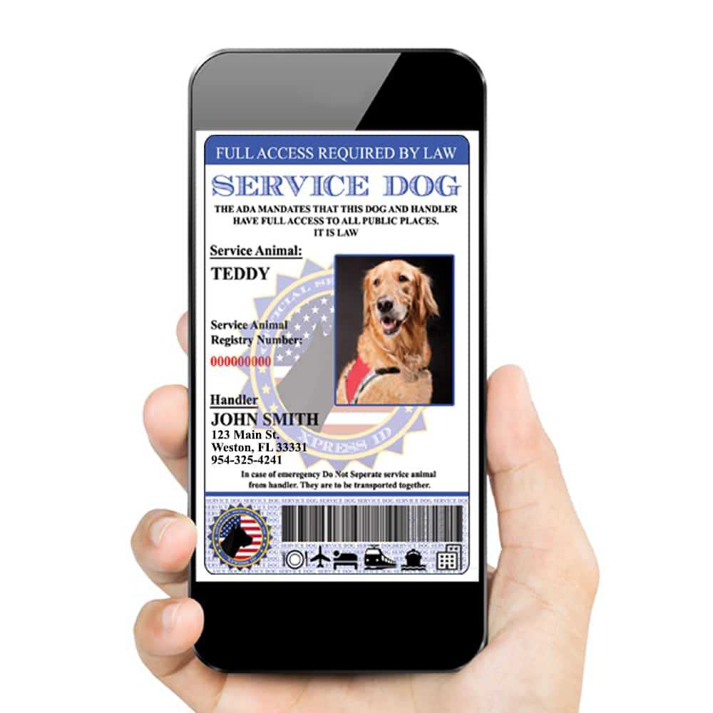 Digital Service Dog Id (Custom) Includes Dog Registration Pertaining To Service Dog Certificate Template