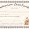 Doll Adoption Certificate Template For Pet Adoption Certificate Template