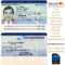 France Id Template Intended For French Id Card Template