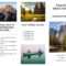 Free Travel Brochure Templates & Examples [8 Free Templates] In Travel Guide Brochure Template