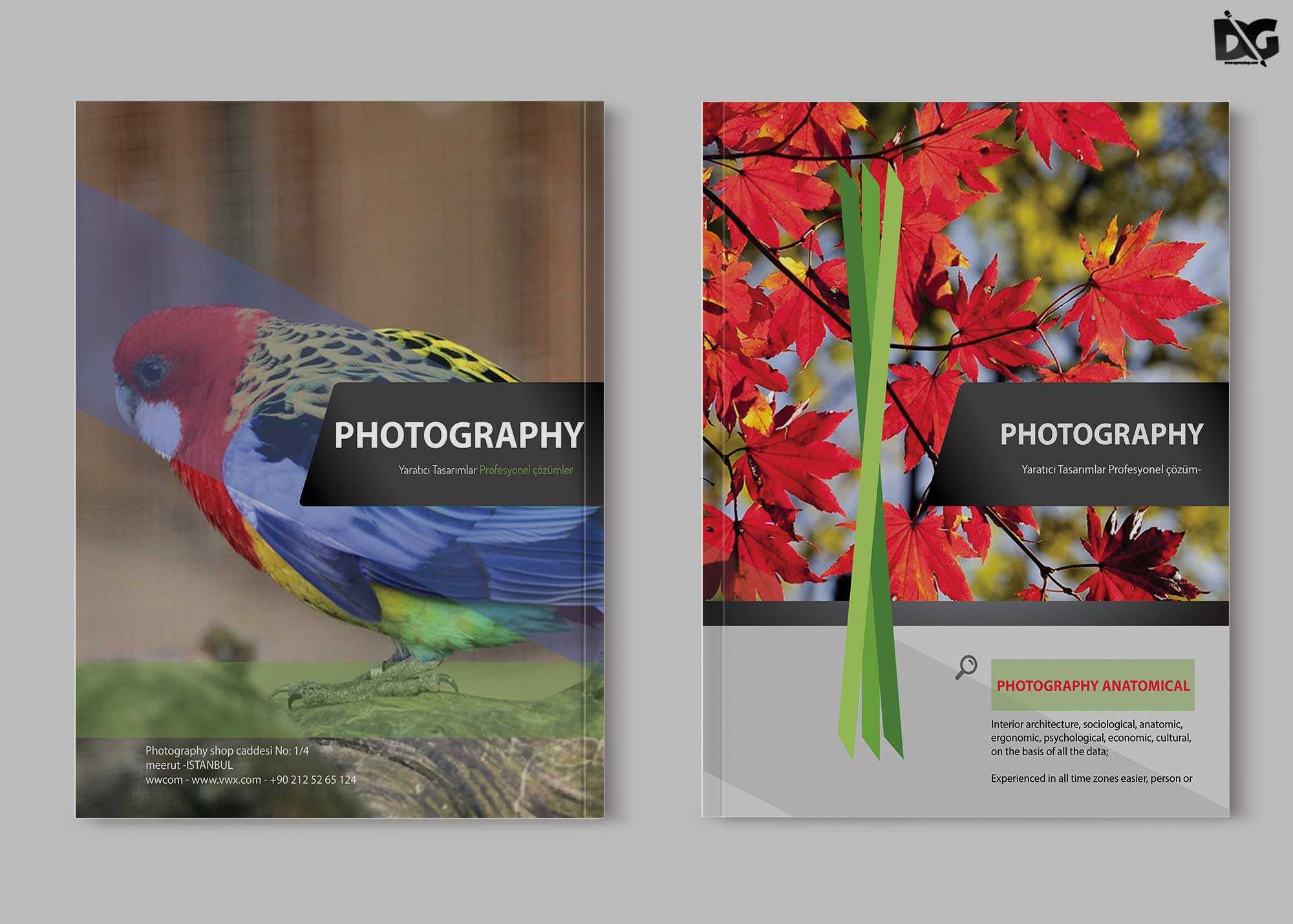 Free Zoo Photography Psd Brochure Template | Free Psd Mockup With Regard To Zoo Brochure Template