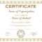 General Purpose Certificate Or Award With Sample Text That Can.. In Sales Certificate Template
