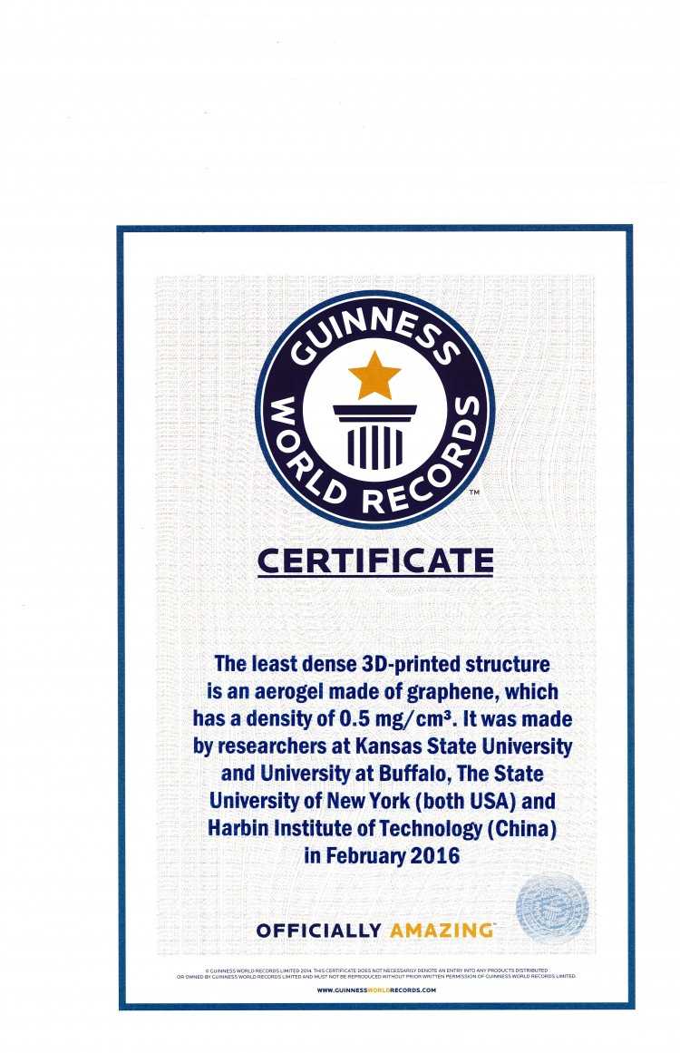 Guinness World Record Certificate Template – Milbe With Regard To Guinness World Record Certificate Template