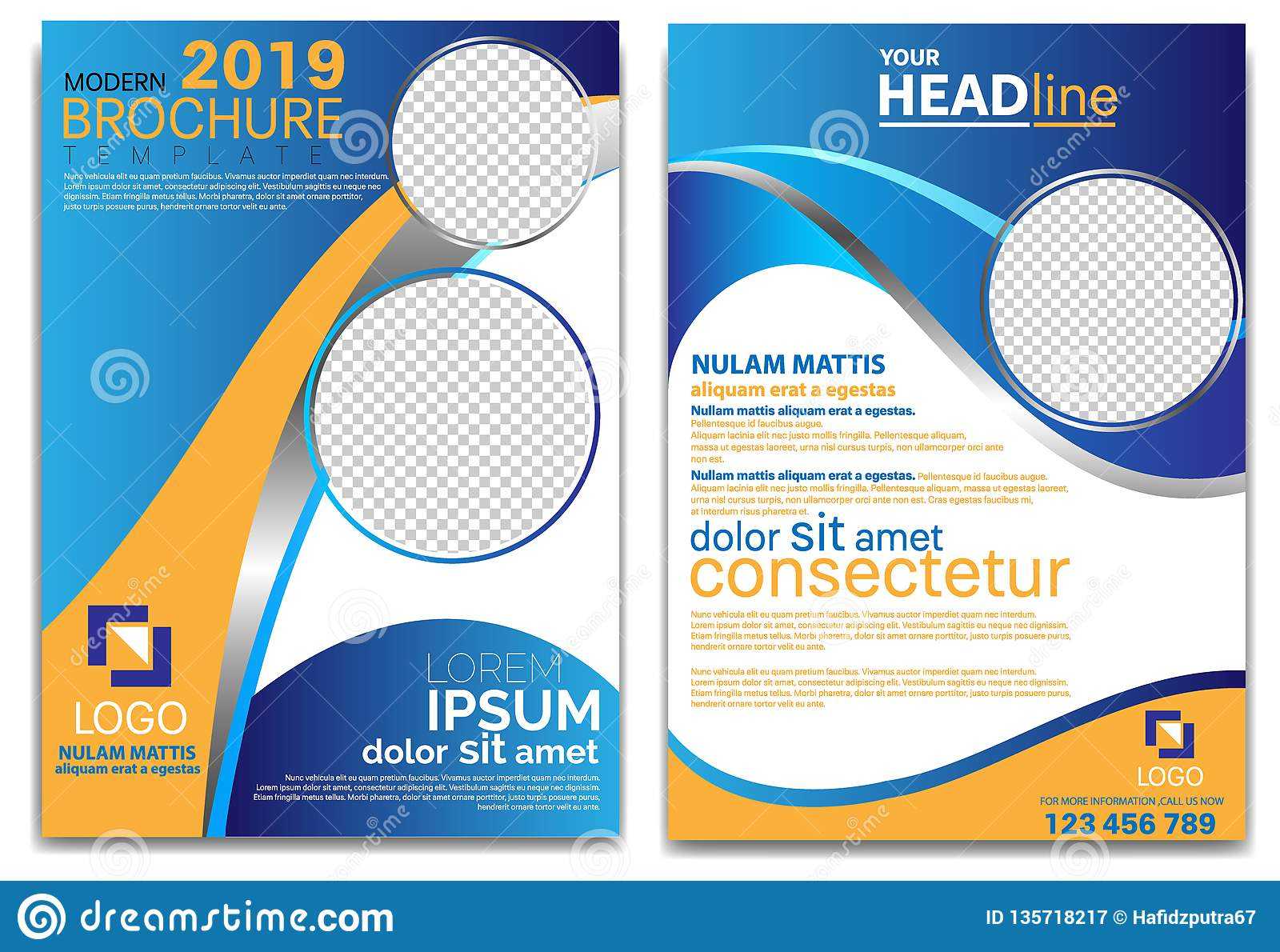 Modern Brochure Template 2019 And Professional Brochure Intended For Professional Brochure Design Templates