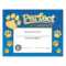 Perfect Attendance Paw Design Gold Foil Stamped Certificate Regarding Perfect Attendance Certificate Free Template
