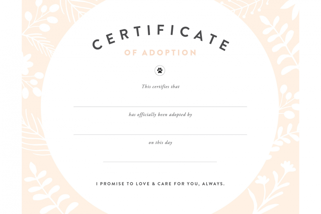 Pretty Fluffy Pertaining To Adoption Certificate Template
