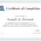 Professional Course Completion Certificate Template For Certification Of Completion Template