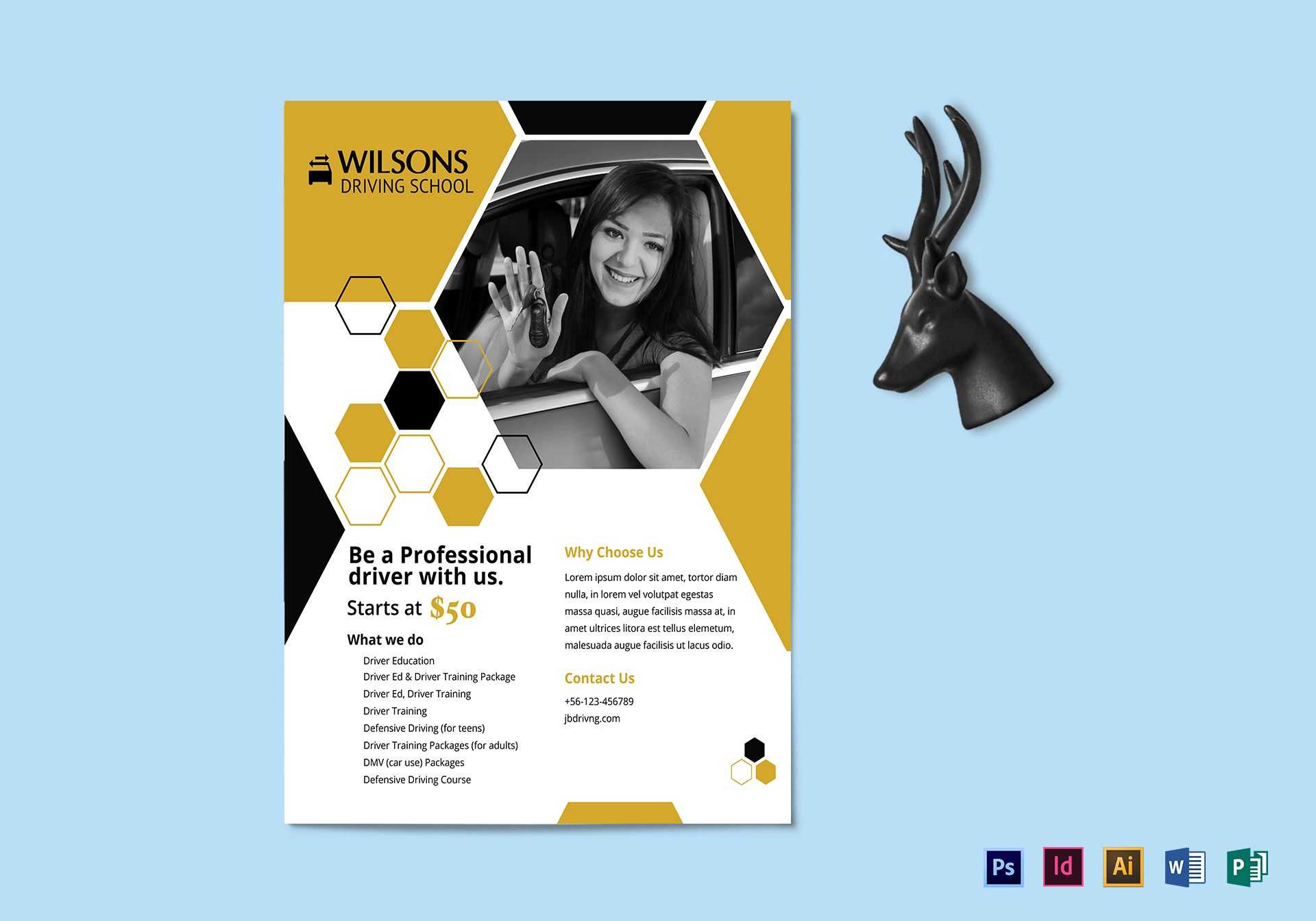 Professional Driving School Flyer Template With Regard To School Brochure Design Templates