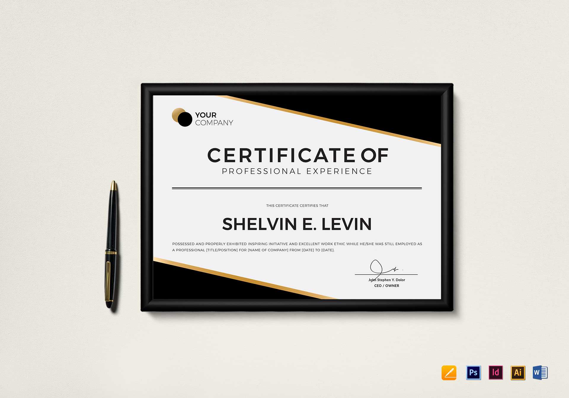 Professional Experience Certificate Template For Mock Certificate Template