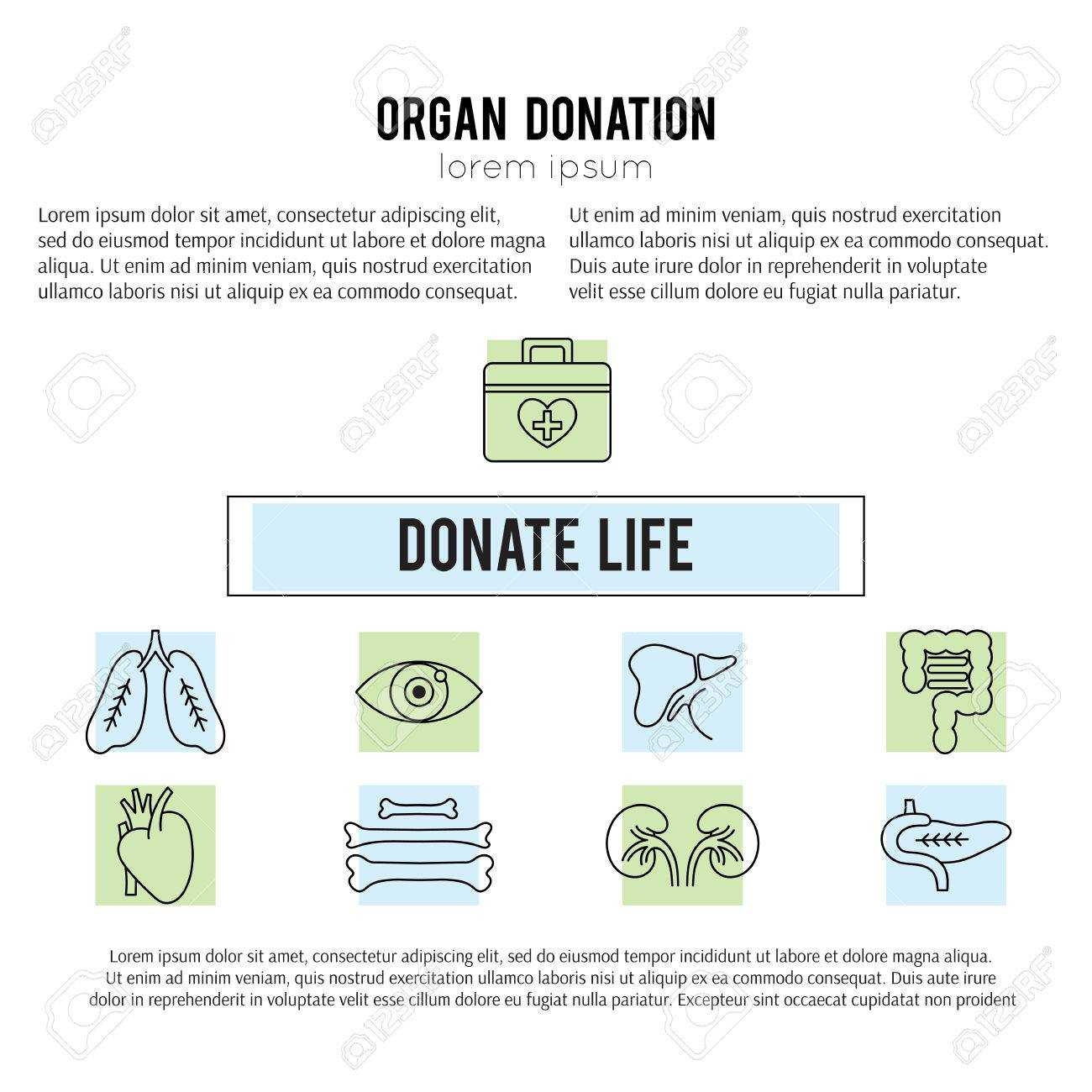 Square Banner Template. Organ Donation Thin Line Icons. Donate.. With Regard To Organ Donor Card Template