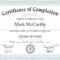 Template Certificate Of Authenticity ] – 45 Fee Printable With Army Certificate Of Completion Template