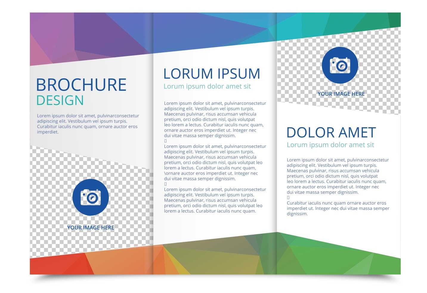 Tri Fold Brochure Vector Template - Download Free Vectors Throughout 3 Fold Brochure Template Free