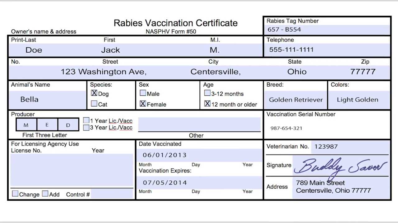 Usda Aphis | Travel Documentation – Rabies Vaccination Intended For Dog Vaccination Certificate Template
